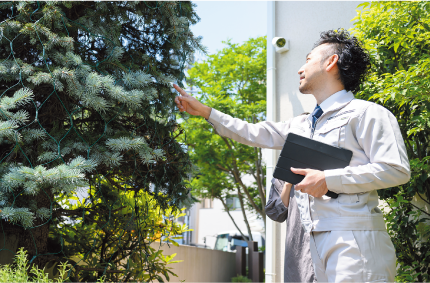 庭木・雑草の確認